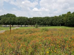 Wildlife habitat.
