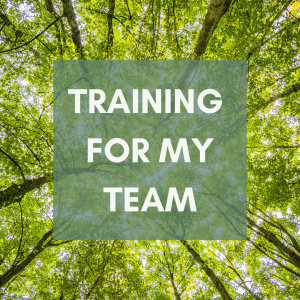 Training for my team