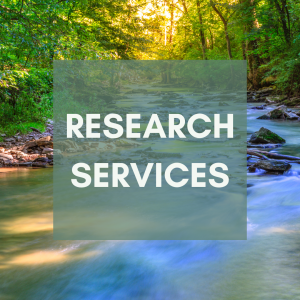Research services