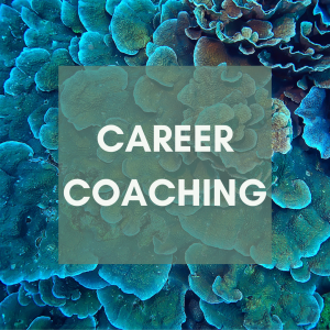 Career Coach